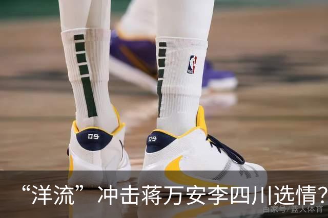 “洋流”冲击蒋万安李四川选情？国民党：虚拟世界最后仍得投票