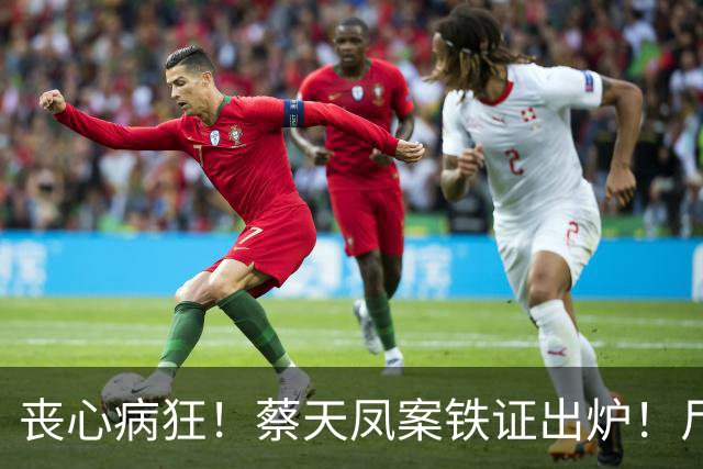 丧心病狂！蔡天凤案铁证出炉！尸体装俩箱子，躯干双手至今无踪影
