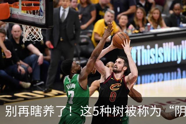 别再瞎养了！这5种树被称为“阴树”，再喜欢也别搬进家，看完赶紧搬出去