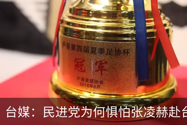 台媒：民进党为何惧怕张凌赫赴台？