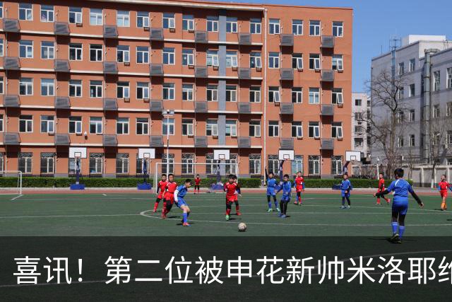 喜讯！第二位被申花新帅米洛耶维奇的本土强援浮出水面，值得期待
