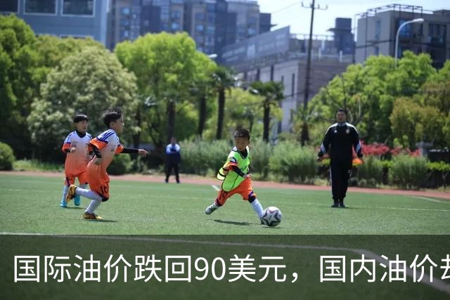 国际油价跌回90美元，国内油价却稳在8块多：真的是“桶贵了”吗