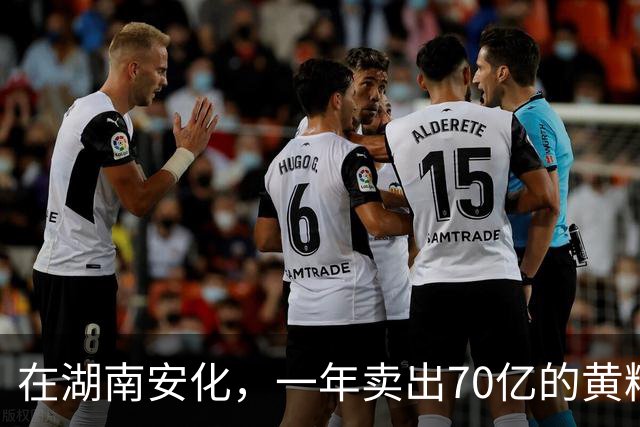 在湖南安化，一年卖出70亿的黄精，到底哪些人在买
