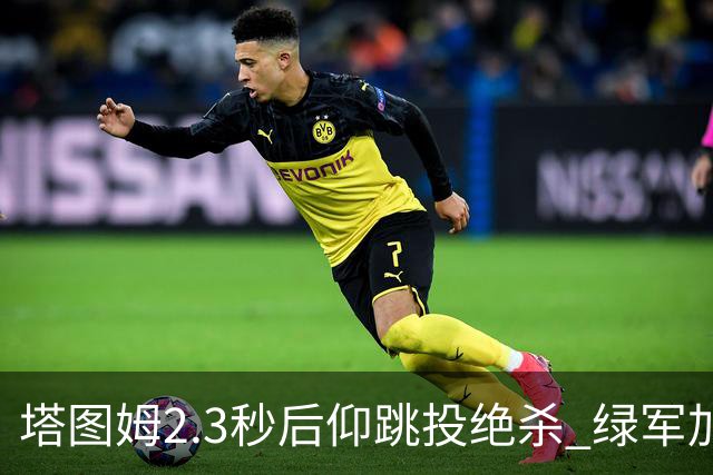 塔图姆2.3秒后仰跳投绝杀 绿军加时险胜篮网
