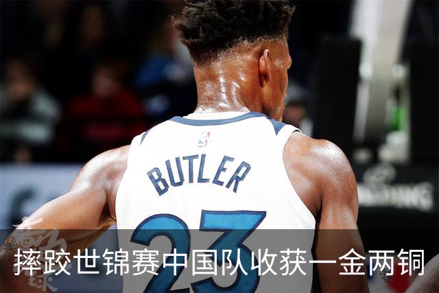 摔跤世锦赛中国队收获一金两铜