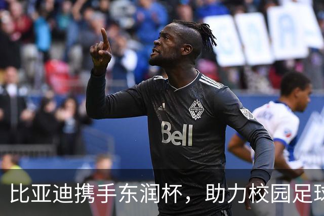 比亚迪携手东润杯，助力校园足球少年圆梦工体