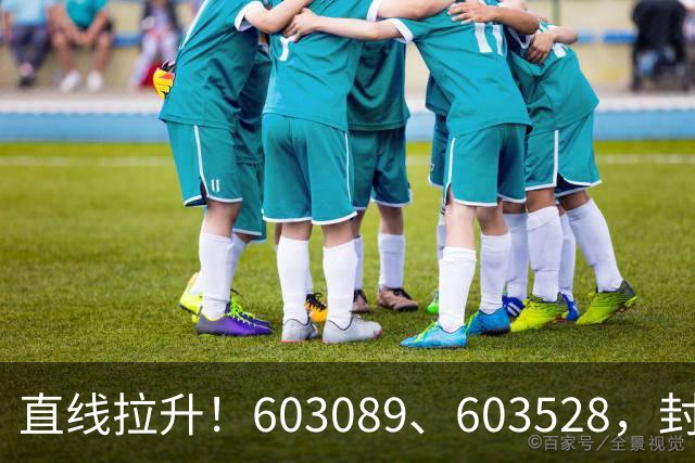 直线拉升！603089、603528，封涨停！
