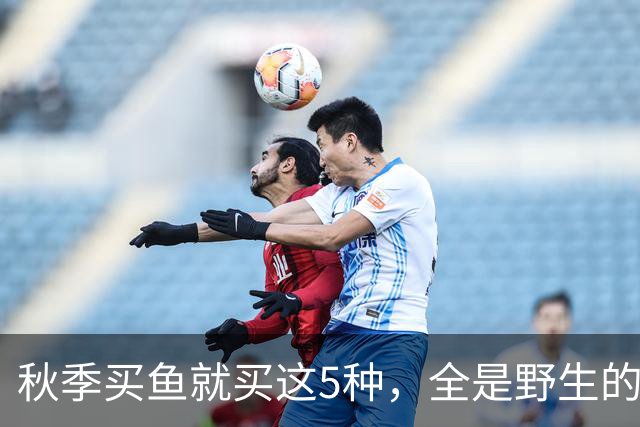 秋季买鱼就买这5种，全是野生的，人工养不了，比养殖鱼更香