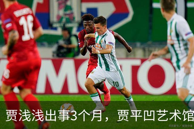 贾浅浅出事3个月，贾平凹艺术馆被法拍，建馆8000万他没出一分钱