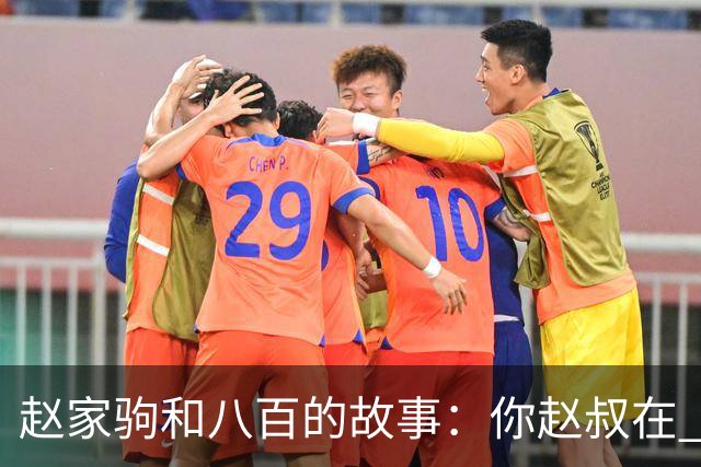 赵家驹和八百的故事：你赵叔在 你爸也在