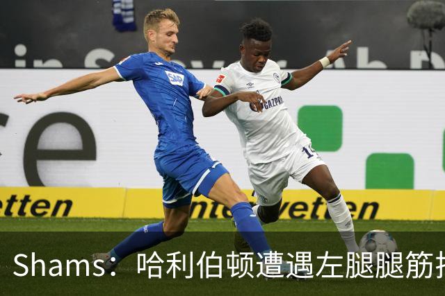 Shams：哈利伯顿遭遇左腿腿筋拉伤 将至少缺席两周